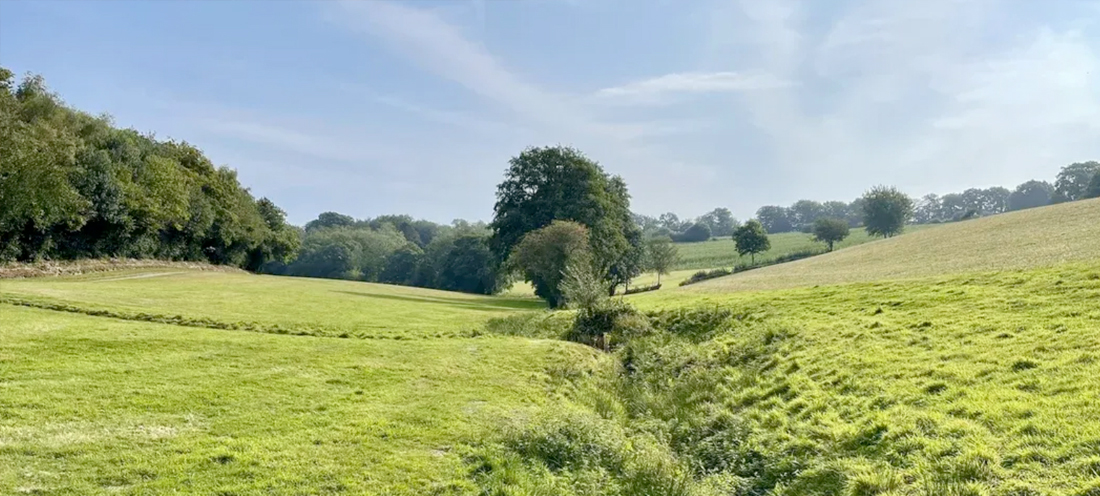 Danehill country walks