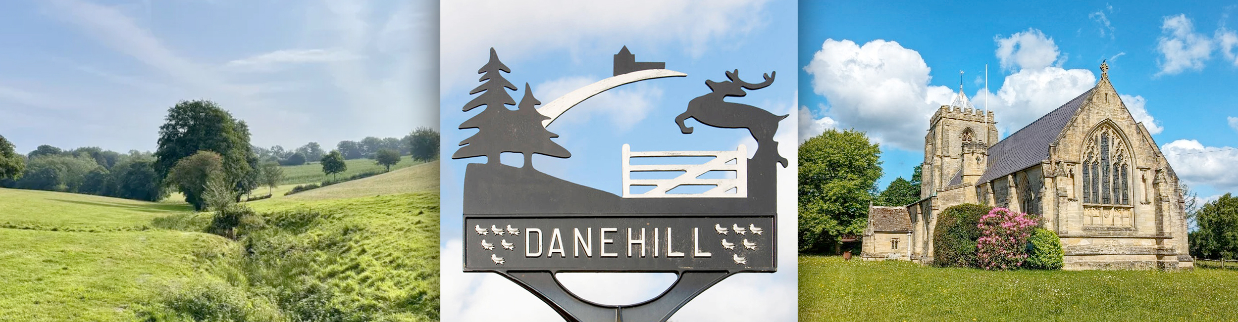 decorative header image