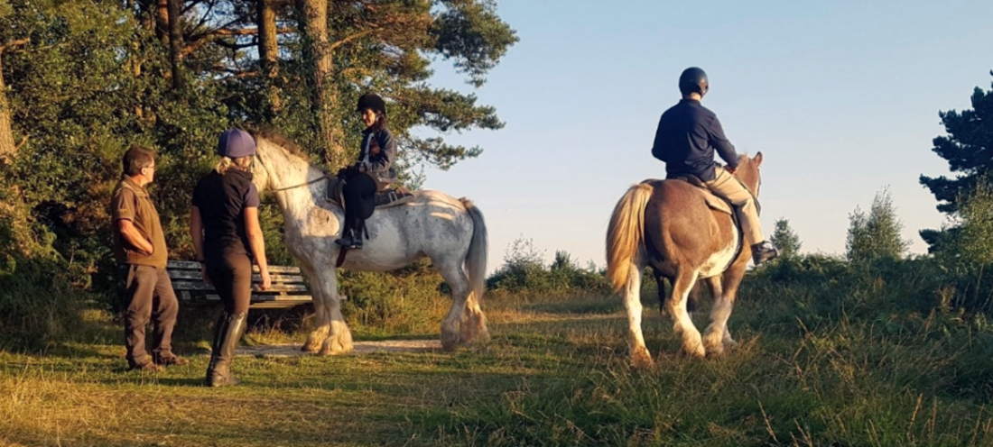 Sports clubs Danehill Parish Council